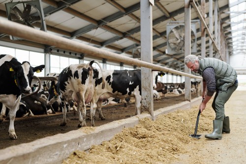 Option des exploitants agricoles pour une assiette annuelle des cotisations sociales