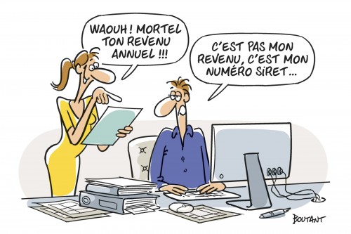 Revenus des travailleurs indépendants