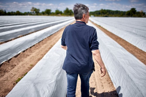 Non-salariés agricoles : vers une meilleure pension de retraite de base ?