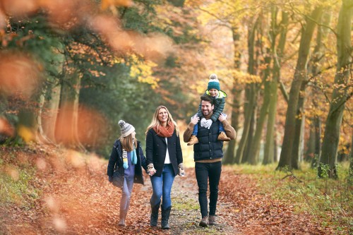 Jours fériés du mois de novembre : comment procéder ?